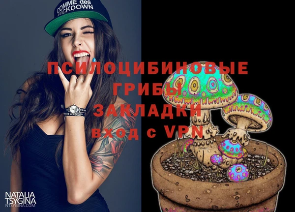 2c-b Дмитров